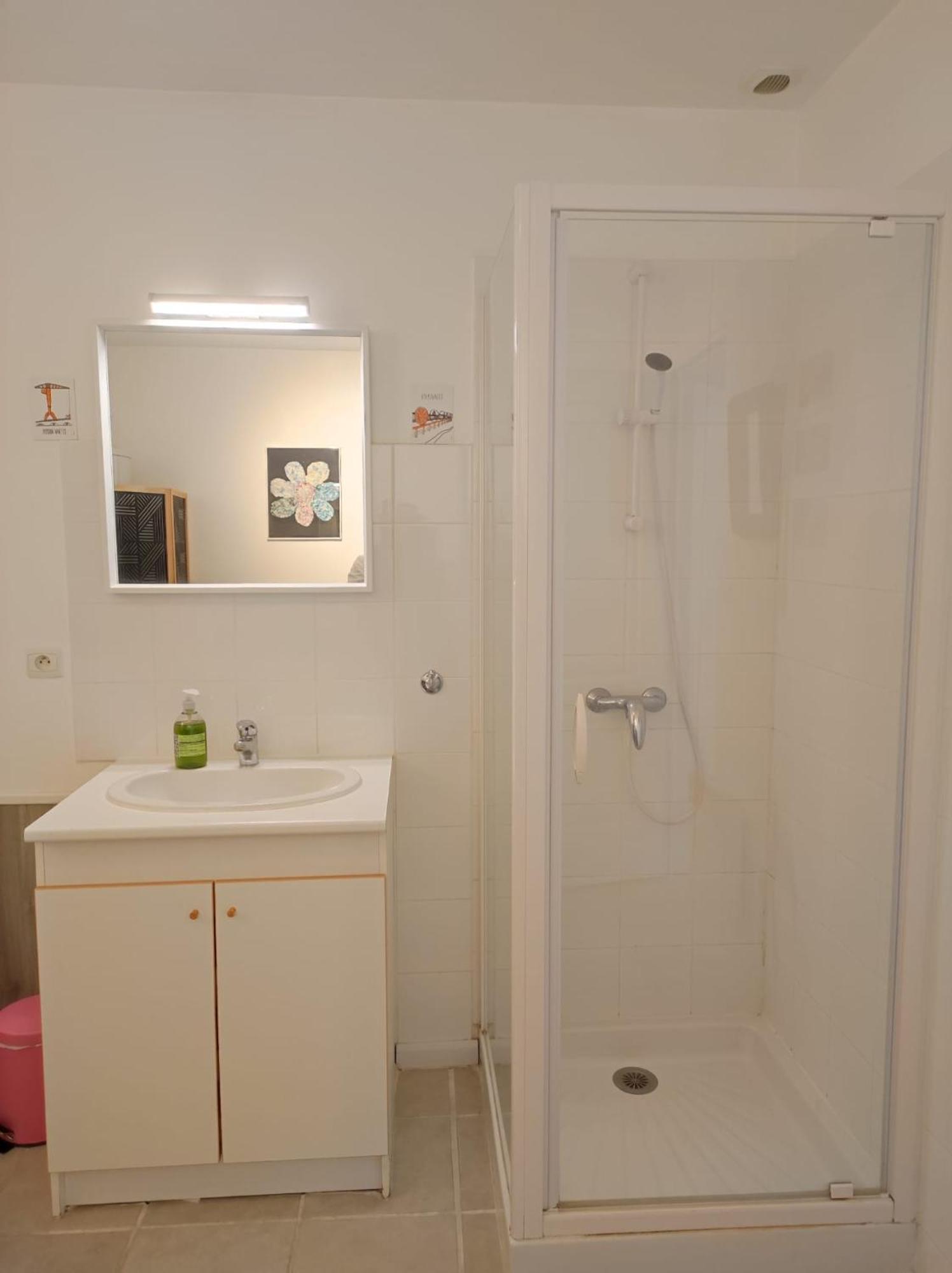 Du Petit Gue Holiday home Frossay